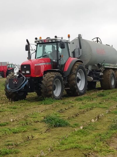 Rode Massey Ferguson 8220 met mesttank rijdt over een stoppelveld