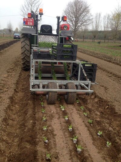 Plantmachine achter een Fendt zet jonge plantjes in kaarsrechte rijen