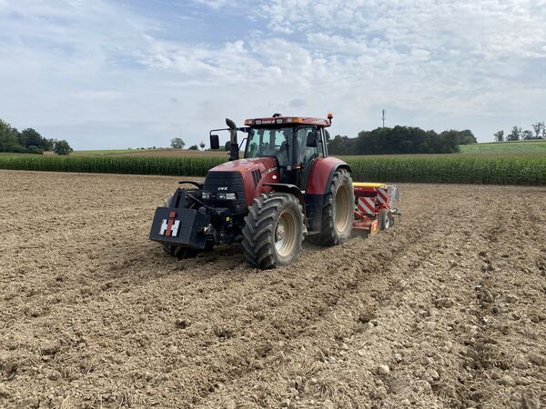 Case IH CVX met frontgewicht en zaaimachine op een pas bewerkte akker langs maïs
